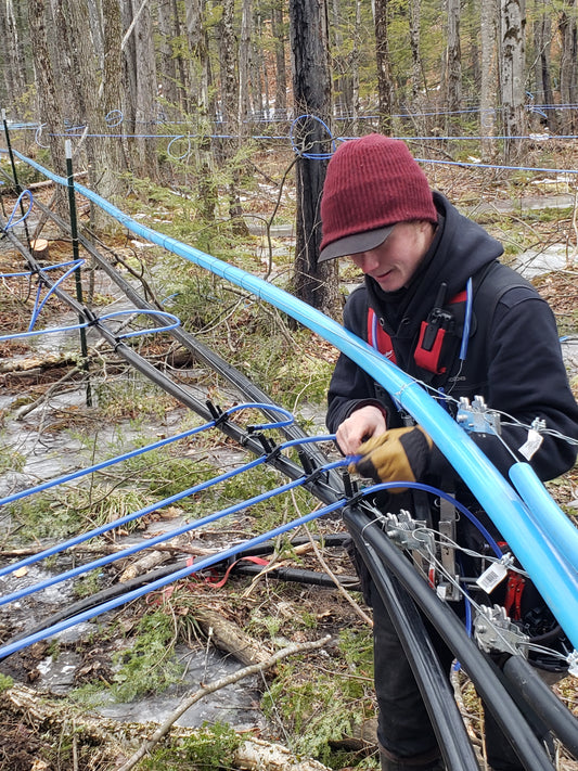 Making pure maple syrup in New Hampshire