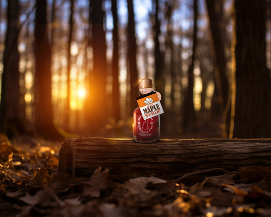 How Maple Syrup is Produced