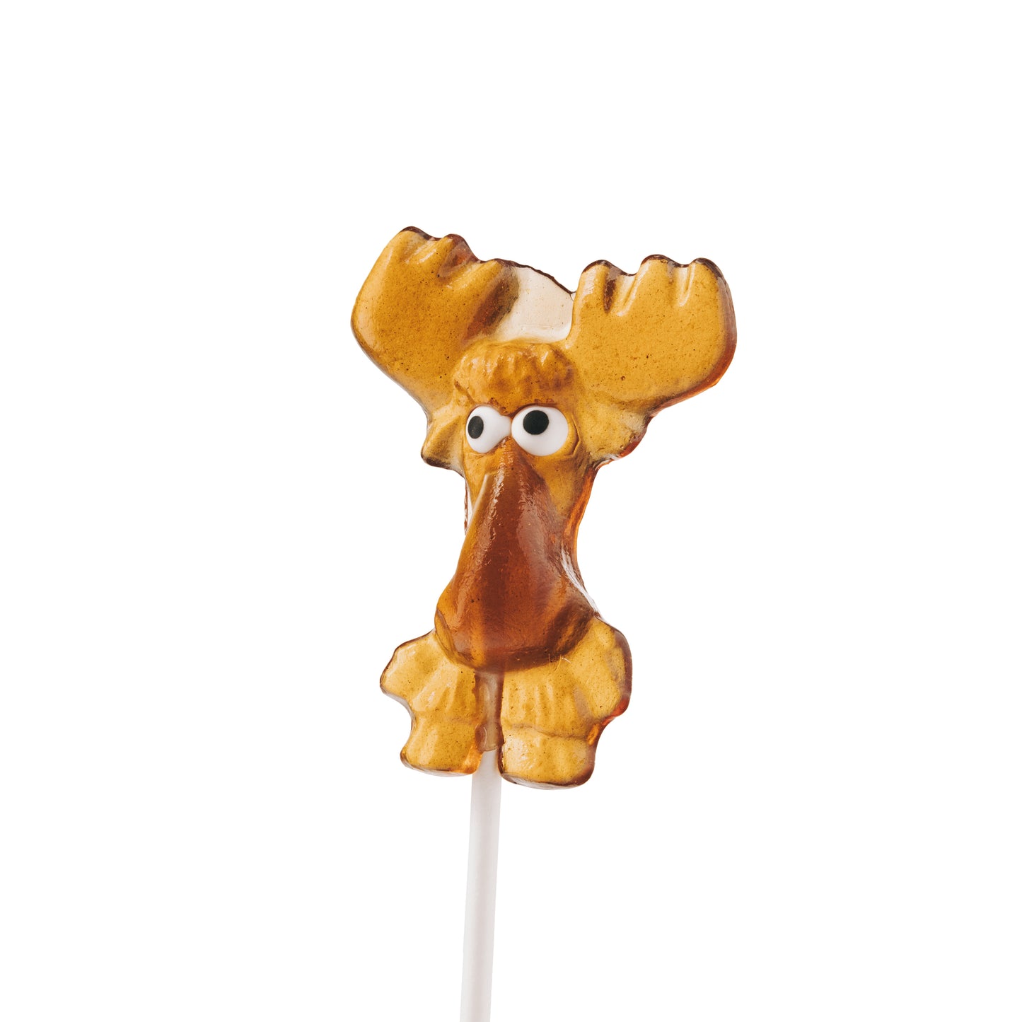 Maple Moose Pop