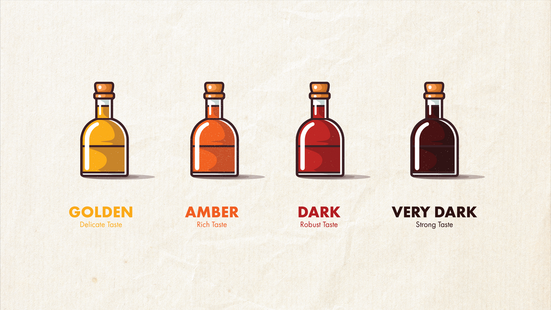 Maple Syrup Grading System Maple Syrup Grading: Explained – Bens Maple Syrup