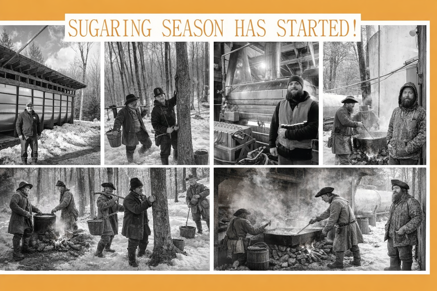 🍁 The History of Maple Syrup in North America — With a Look at New Ham ...