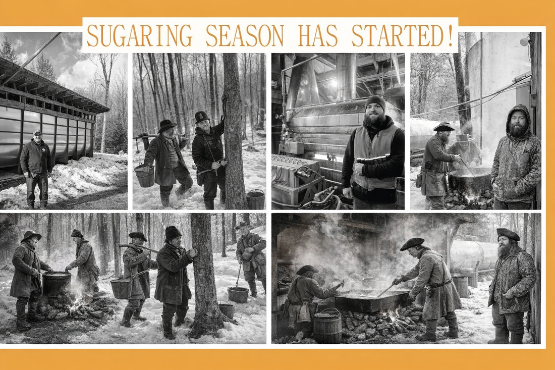 🍁 The History of Maple Syrup in North America — With a Look at New Hampshire